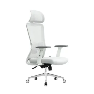 Ergonomska kancelarijska stolica UGD Silver Polare