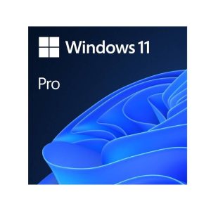 Microsoft Windows 11 Pro Eng Intl OEM (FQC-10528)