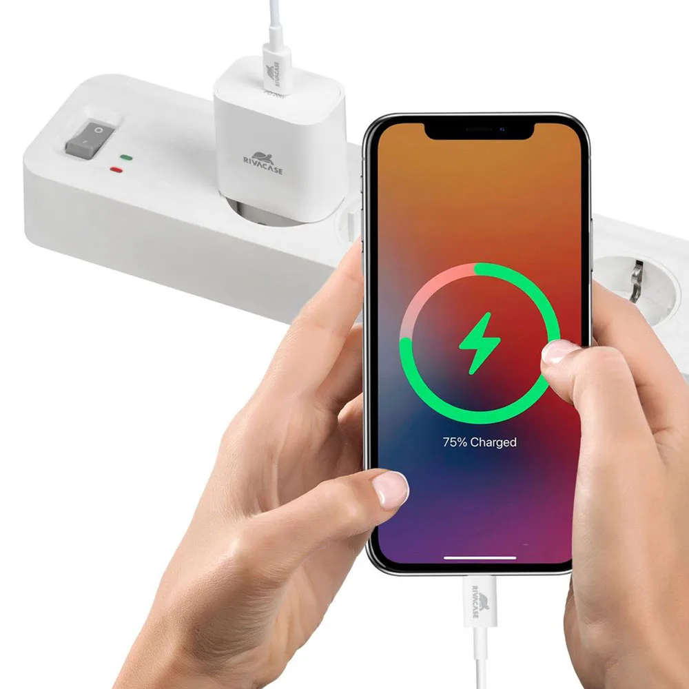 Punjač za telefon Riva Case 20W, USB-C + kabl USB-C na USB-C (PS4101) – slika 5