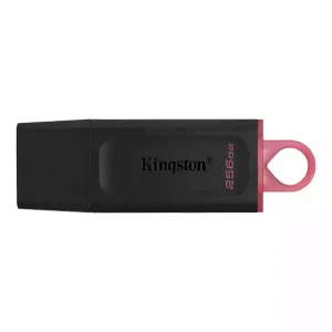 USB flash memorija 256GB Kingston 3.2 Exodia DTX/256GB